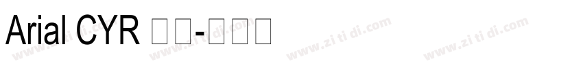 Arial CYR 粗体字体转换